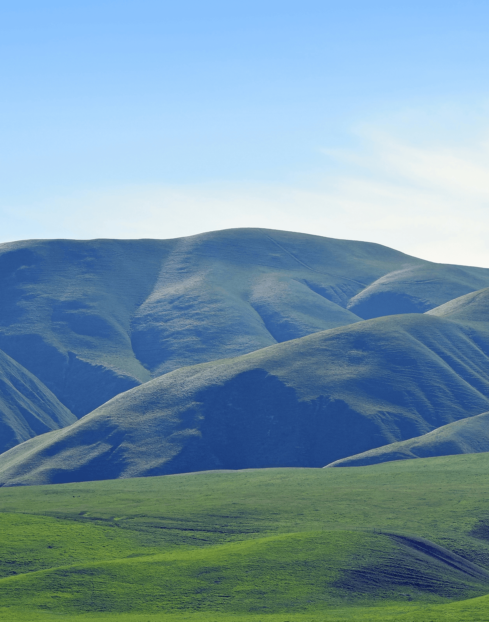 Bakersfield